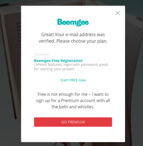 Verification Modal for Beemgee