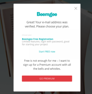 Verification Modal for Beemgee